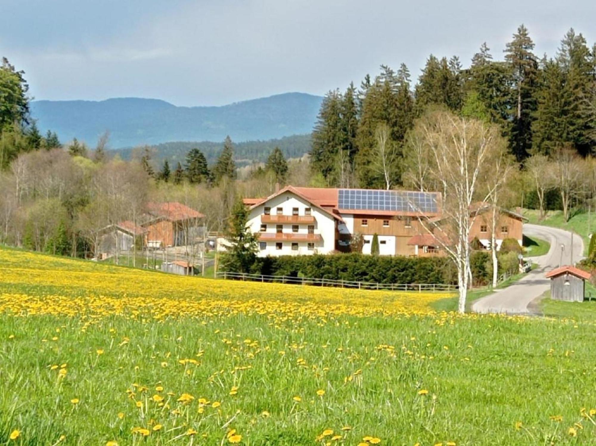 Ferienbauernhof Mehlbach Konuk evi Kollnburg Dış mekan fotoğraf